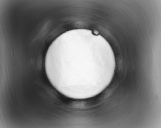 X0000088150266200706111449