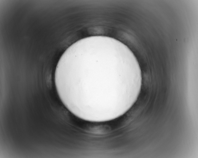 X0000088150267200706111449