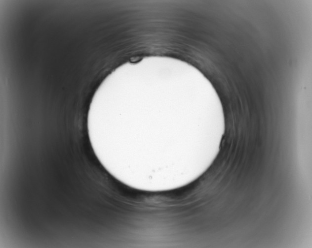 X0000088150268200706111449