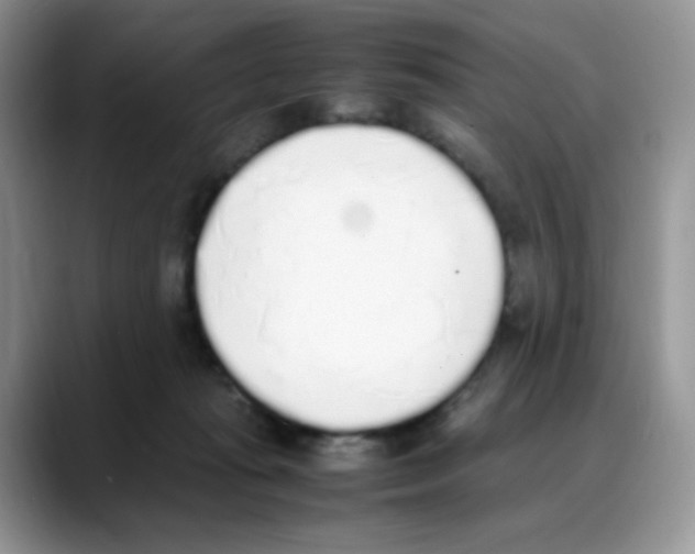 X0000088150269200706111449