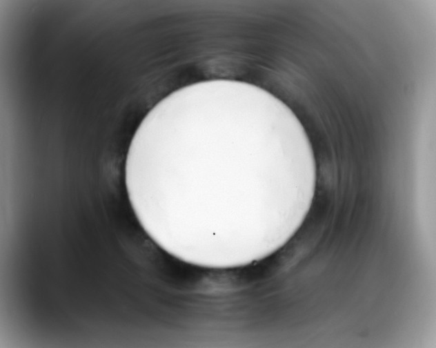 X0000088150271200706111449