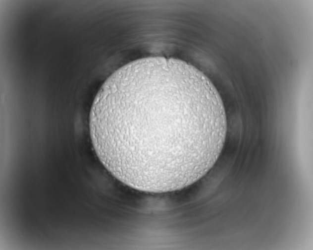 X0000088150272200706111449