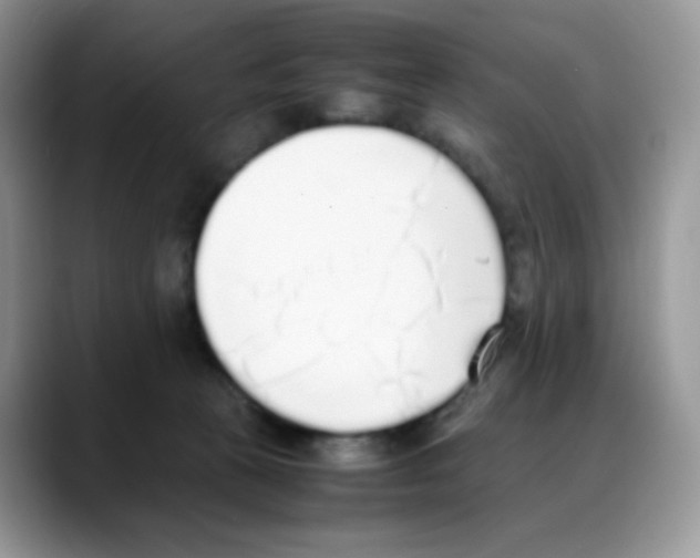 X0000088150273200706111449