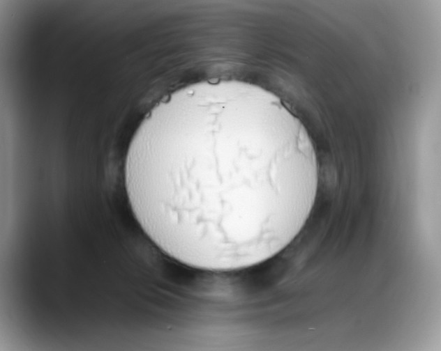 X0000088150276200706111449