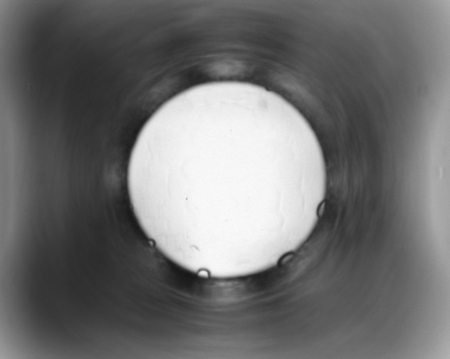 X0000088150277200706111449