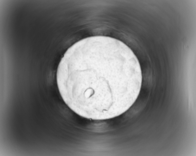 X0000088150278200706111449