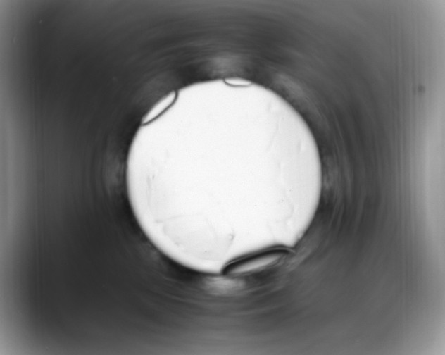 X0000088150281200706111449