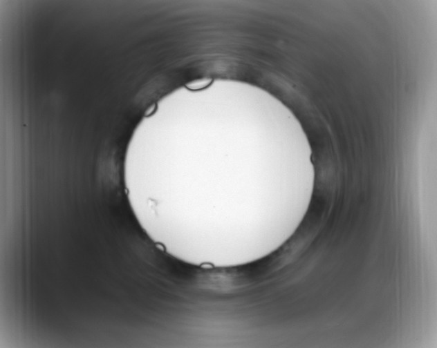 X0000088150282200706111449