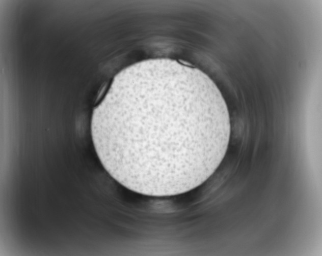 X0000088150283200706111449