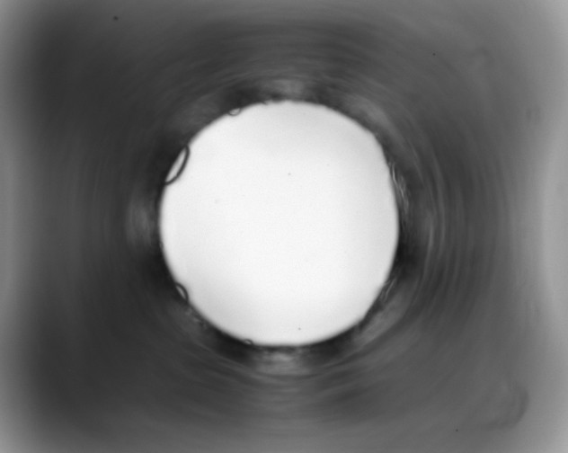 X0000088150285200706111449