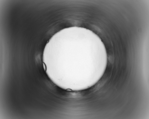 X0000088150286200706111449