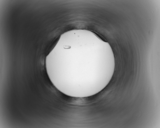 X0000088150288200706111449