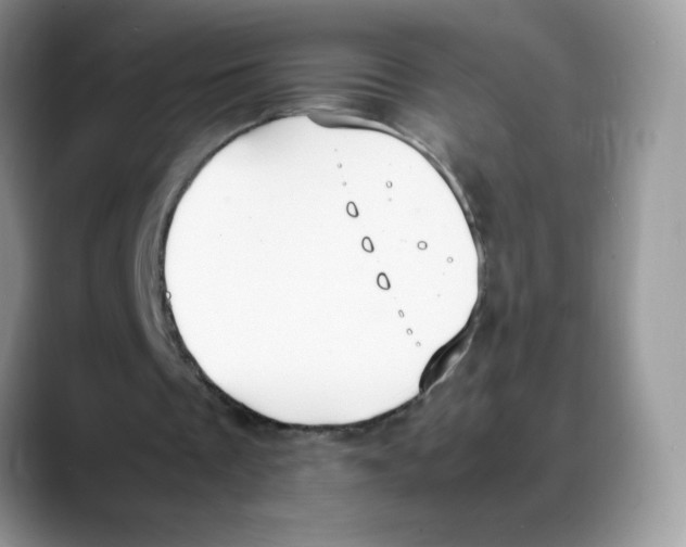 X0000088150289200706111448