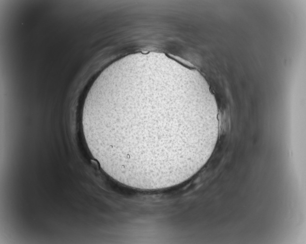 X0000088150291200706111448