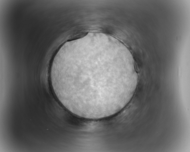 X0000088150293200706111448