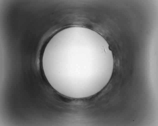 X0000088150294200706111448