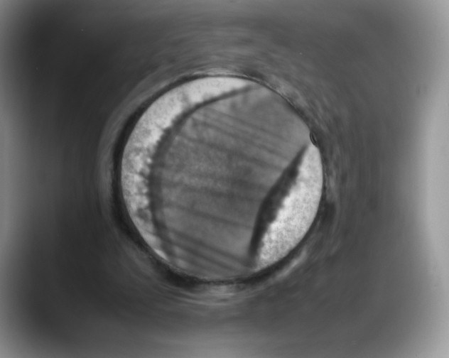 X0000088150295200706111448