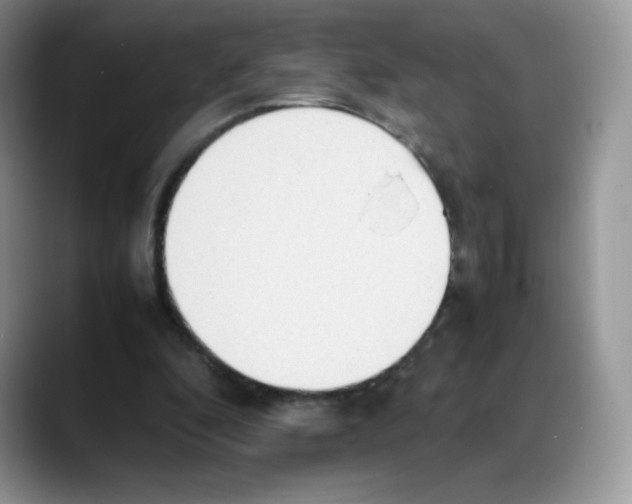 X0000088150296200706111448