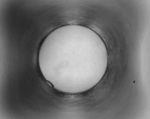 X0000088150297200706111448