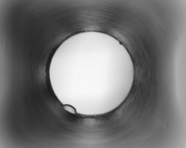 X0000088150298200706111448