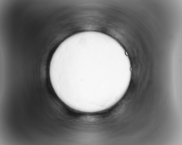 X0000088150299200706111448