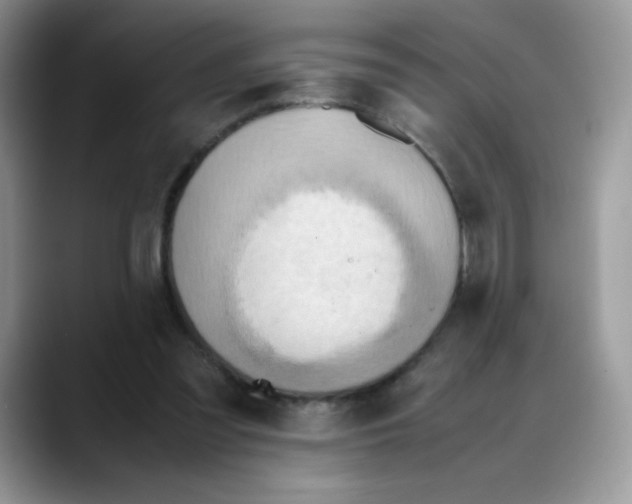 X0000088150301200706111448