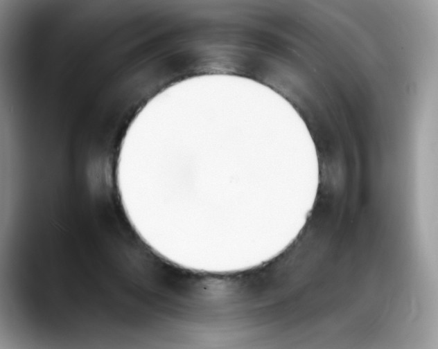 X0000088150302200706111448