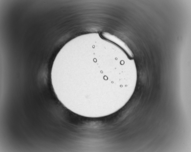 X0000088150304200706111448