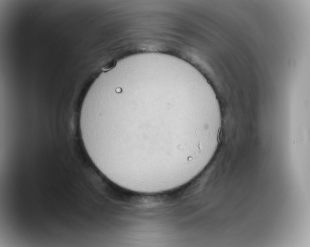 X0000088150305200706111448