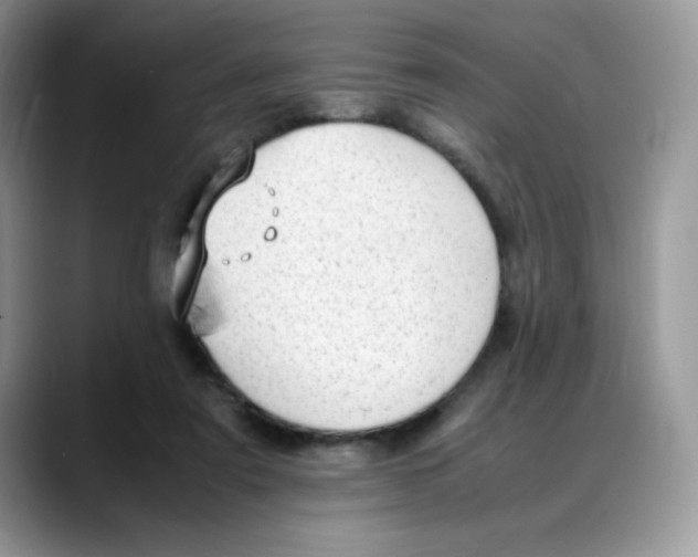 X0000088150307200706111448