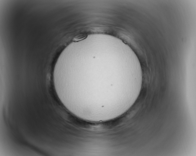 X0000088150309200706111448