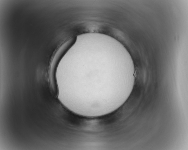 X0000088150313200706111448