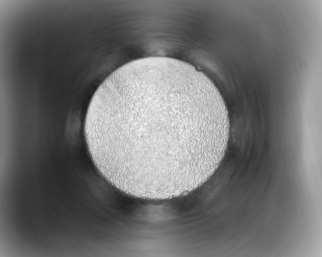 X0000088150314200706111448