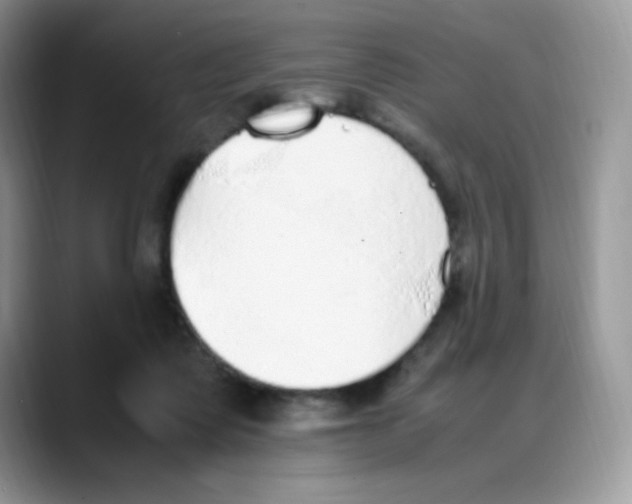 X0000088150315200706111448