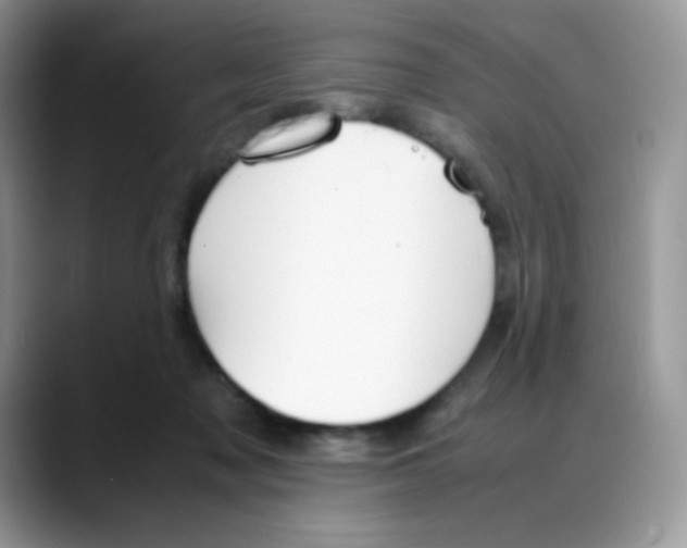 X0000088150317200706111448