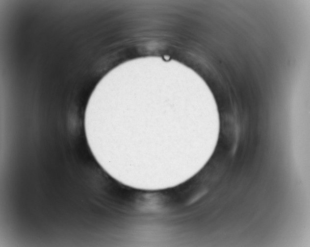 X0000088150324200706111448