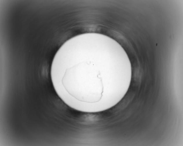 X0000088150326200706111448