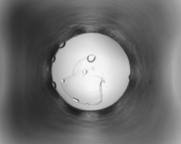 X0000088150327200706111448