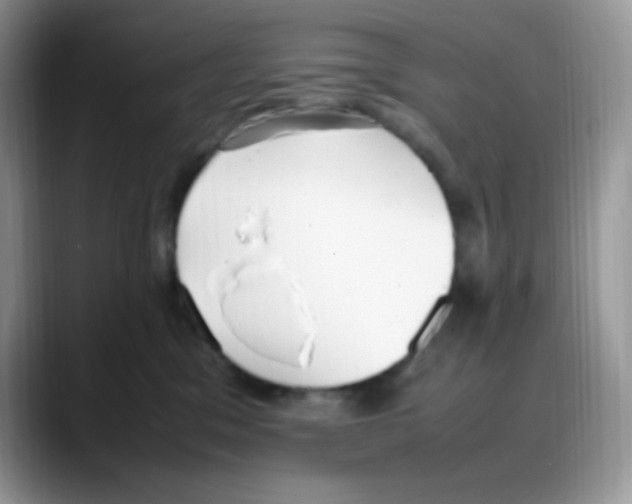 X0000088150329200706111448