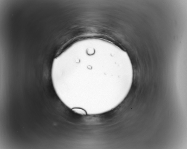 X0000088150331200706111448