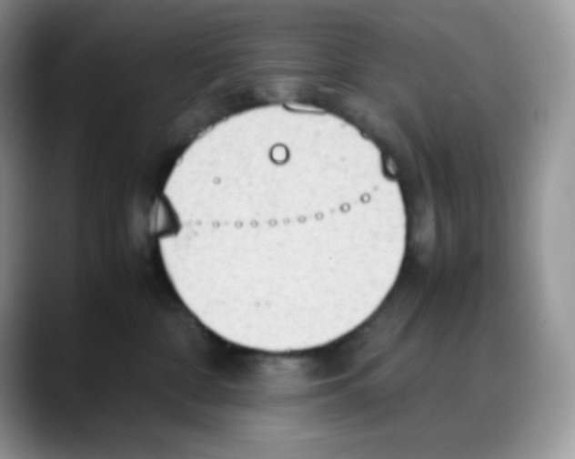 X0000088150332200706111448