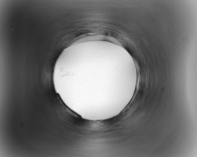 X0000088150333200706111448