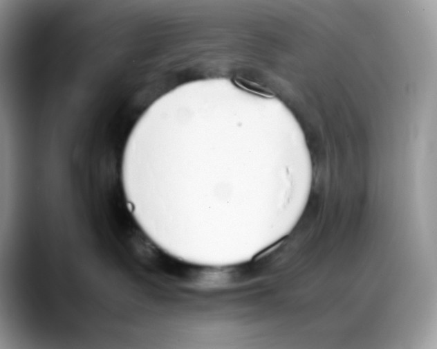 X0000088150335200706111448