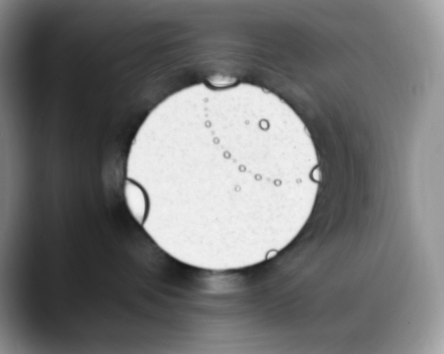 X0000088150336200706111448