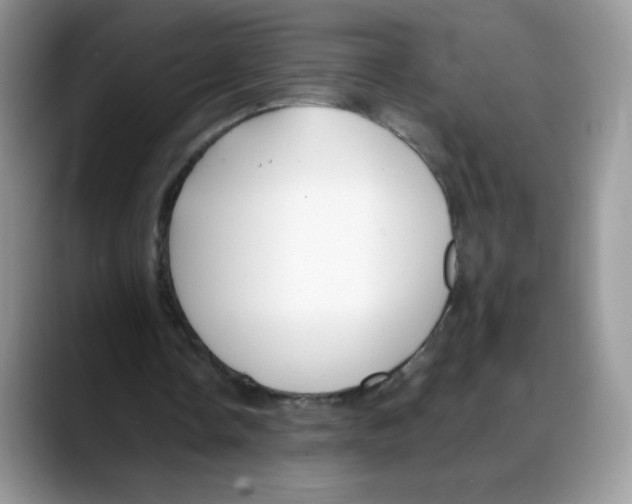 X0000088150338200706111447