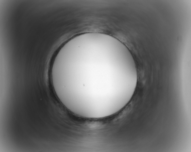 X0000088150340200706111447