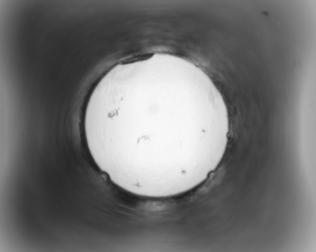 X0000088150341200706111447