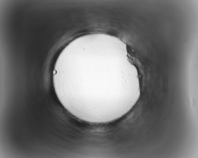 X0000088150343200706111447