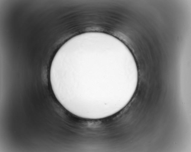 X0000088150345200706111447