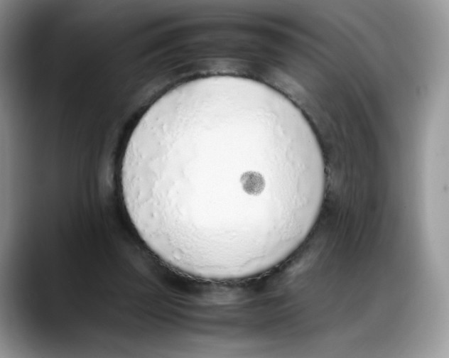 X0000088150347200706111447